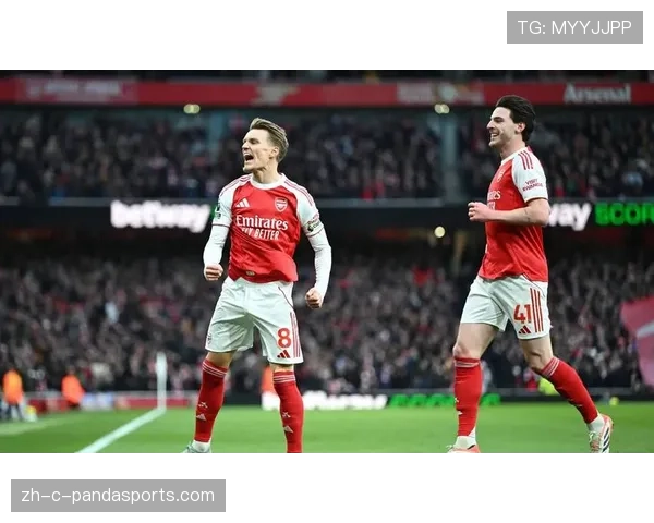 赫尔泽勒坚持传控足球理念 布莱顿主场成豪门难以攻克堡垒